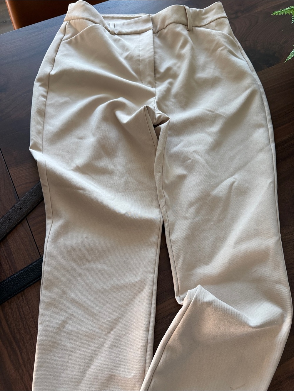 Express Women's Chino Pants in Light Cream